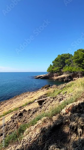 Rocky coastline of Montenegro with clear blue sea, green pine trees, and rugged cliffs under a bright summer sky — a peaceful and wild Mediterranean escape.