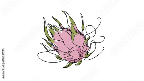 minimalist continuous one line drawing illustration of a realistic pink dragon fruit