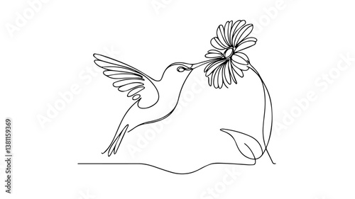 minimalist continuous one line drawing illustration of a realistic flying hummingbird peaking its beak into a flower 