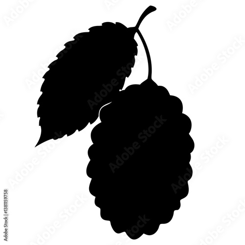 vector illustration of a ripe raspberry