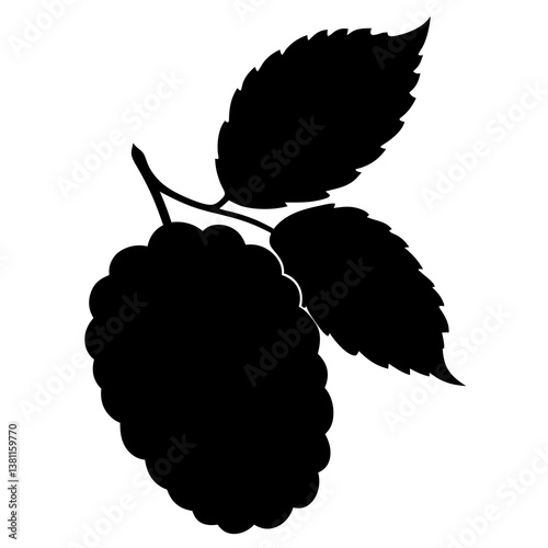 vector illustration of a ripe raspberry