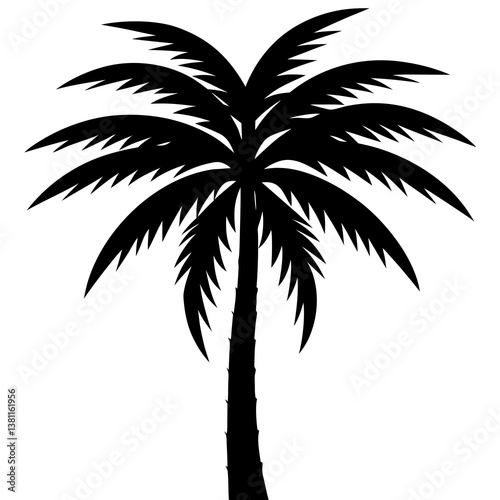 silhouette of palm tree isolated
