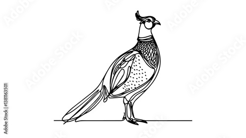 Pheasant using one continuous line drawing