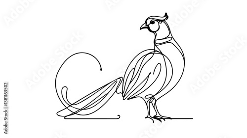 minimalist continuous one line drawing illustration of a realistic Ring-necked Pheasant