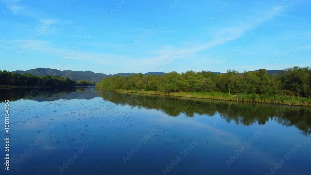 Aerial View of river, Beautiful Aerial View of African Jungles forest and River, Landscape in aerial drone shot. Adove calm tranquil river in Jijel Algeria North Africa, River and green fores trees. Aerial View of river, Beautiful Aerial View of African Jungles forest and River, Landscape in aerial drone shot. Adove calm tranquil river in Jijel Algeria North Africa, River and green fores trees.