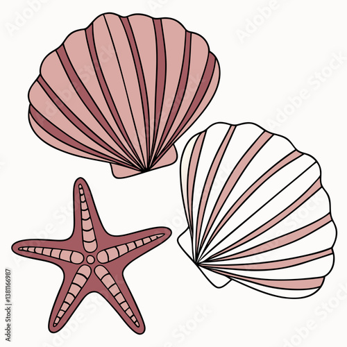 set of seashells