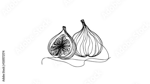 dried fig illustration using one continuous line 