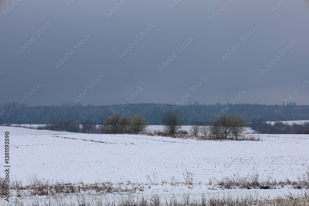 Fototapeta premium A winter landscape depicts a snow-covered field under a gloomy gray sky. A white blanket of snow evenly covers the ground, creating a sense of peace and boundlessness.
