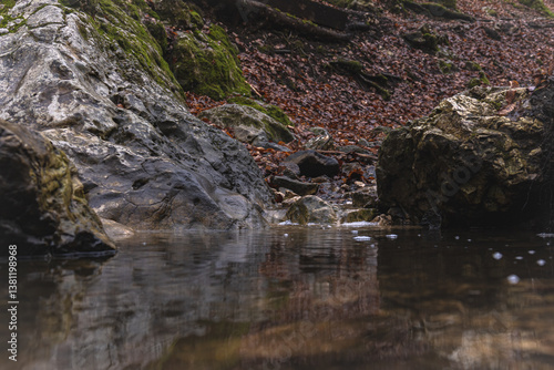 small river in the forest