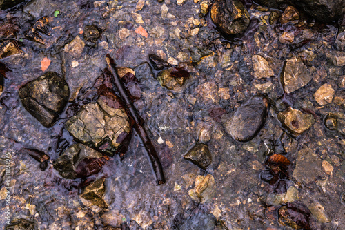 stone in the water