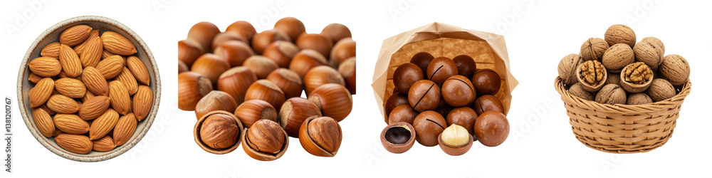 Obraz premium Almonds, hazelnuts, macadamia nuts and walnuts.