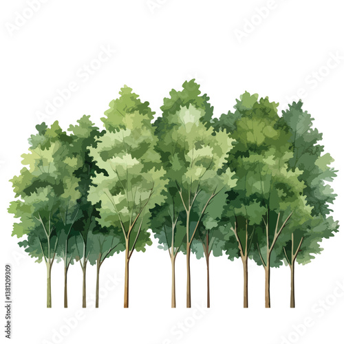 watercolor A forest of tall green trees illustratio