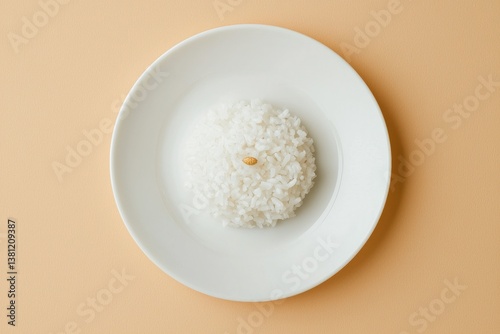 Minimalist Rice Dish: A simple, yet elegant presentation of a white rice with a small garnish, artfully arranged on a white plate. The scene is clean and inviting, ideal for culinary concepts.