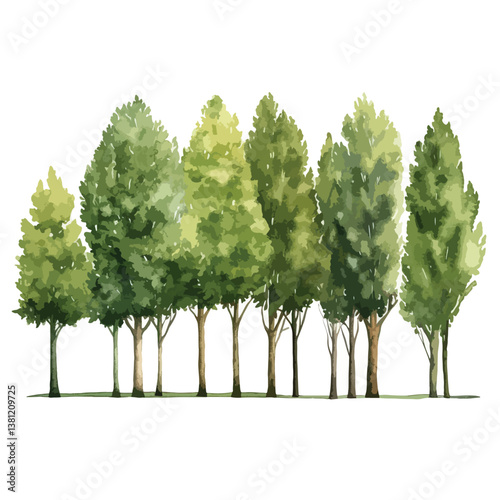 watercolor A forest of tall green trees illustratio