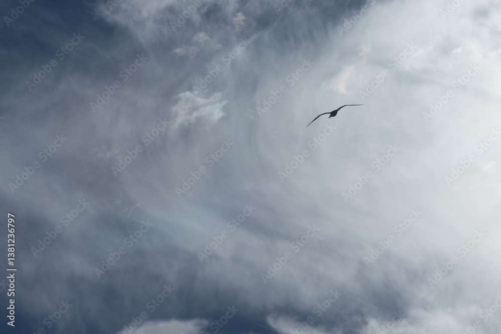 Birds in silhouette glide gracefully through a sky filled with streaky cirrus clouds, creating a peaceful and natural scene. Birds in silhouette glide gracefully through a sky filled with streaky cirrus clouds, creating a peaceful and natural scene.