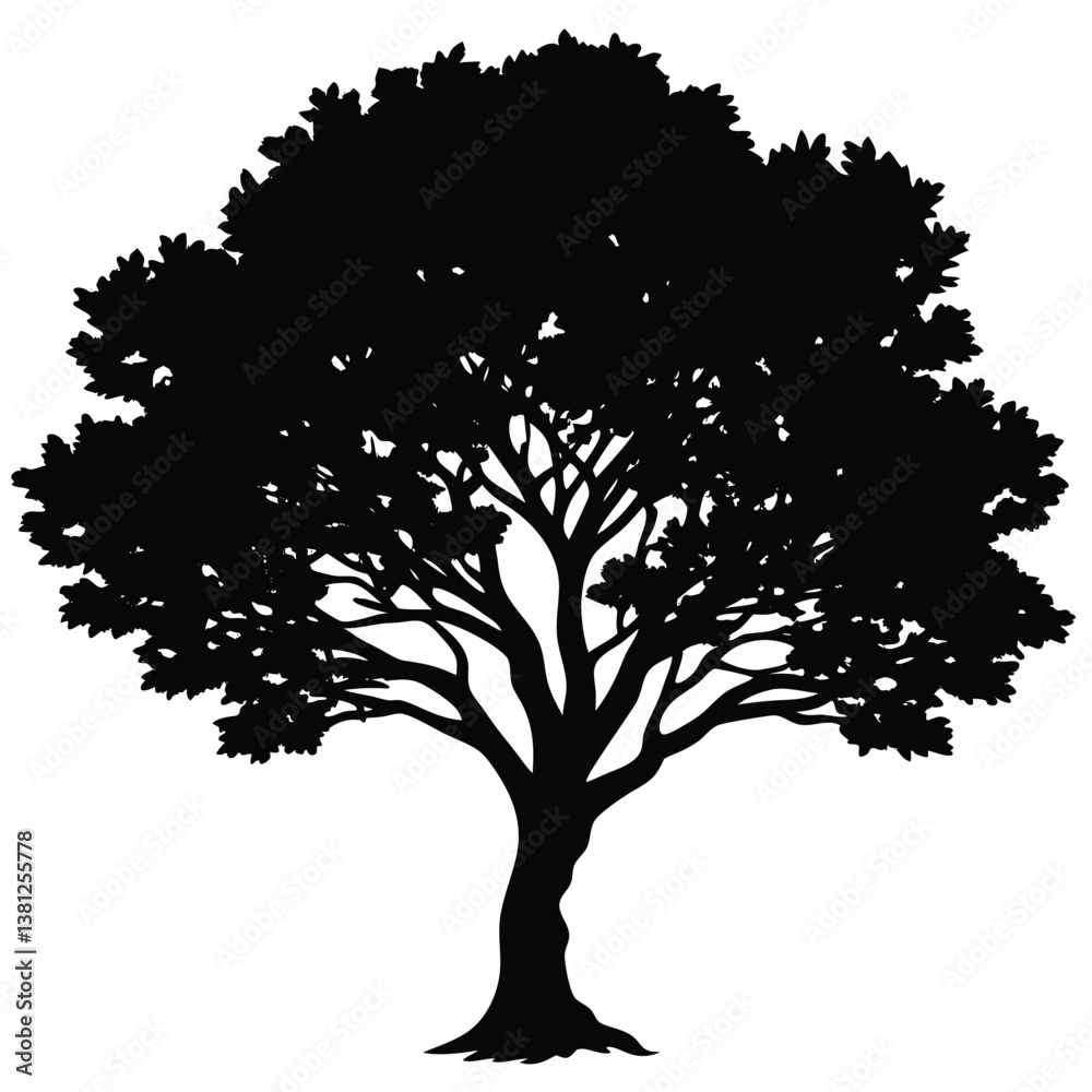 Obraz premium Creosote bush tree silhouette 