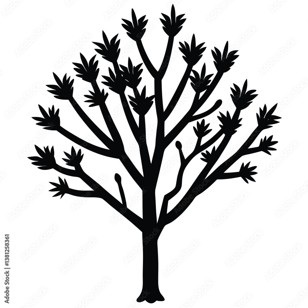 Obraz premium Ocotillo tree silhouette 