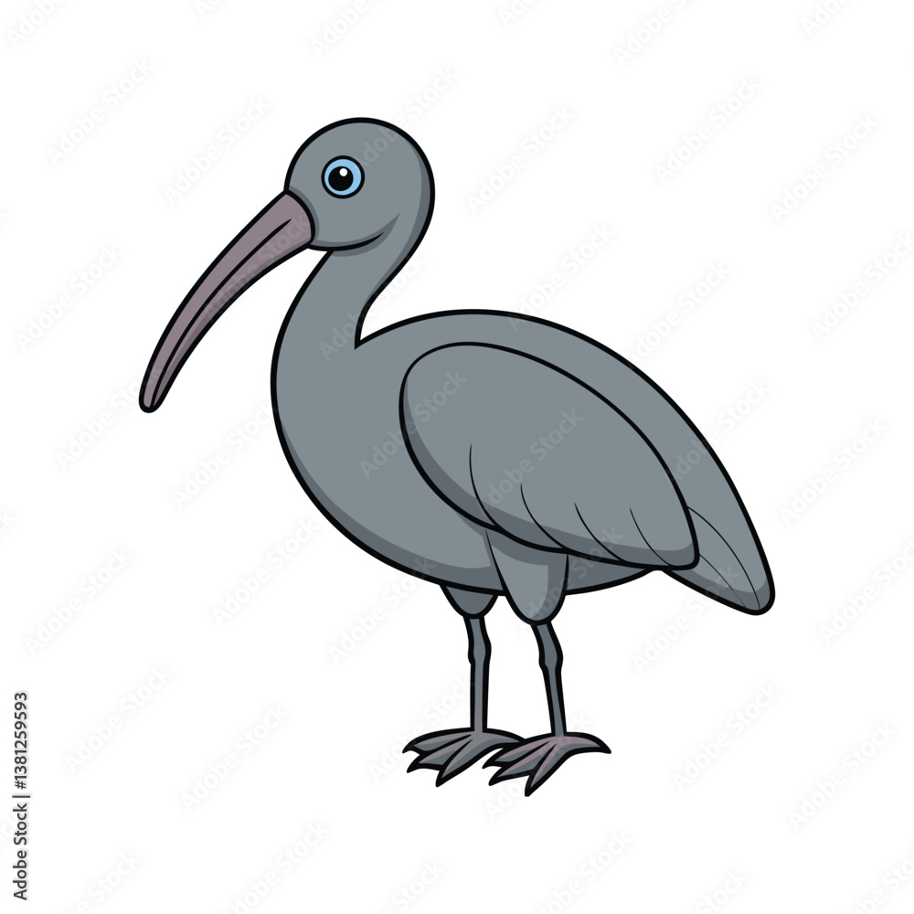 Fototapeta premium Charming Australian Ibis Bird Illustration