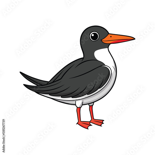  Realistic Black Skimmer Illustration