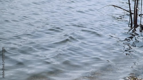 A dynamic lake scene with splashing water as someone throws stones into the waves. Ripples and droplets catch the sunlight, creating a mesmerizing, energetic moment in nature’s peaceful surroundings.
