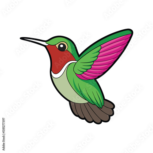  Vivid Calliope Hummingbird Bird Design
