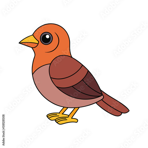  Charming Chinese Thrush Bird Illustration