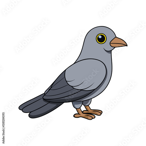  Common Cuckooshrike Bird Realistic Art