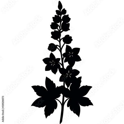 Delphinium silhouette-illustration-on-white-background.