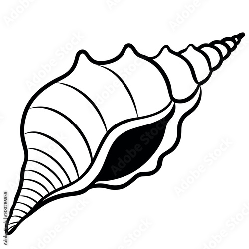 Vector illustration of a seashell