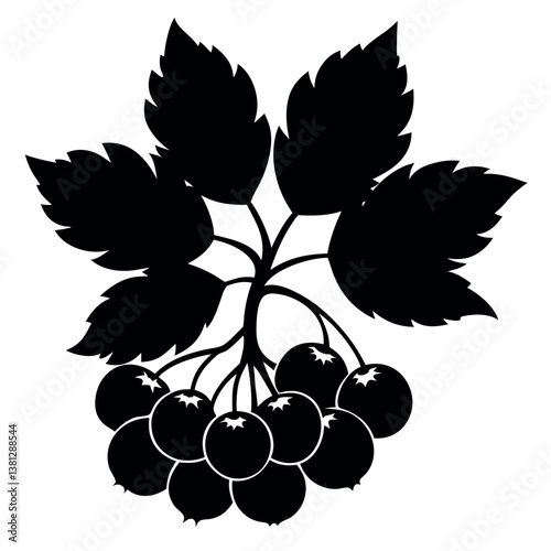Hawthorn berry silhouette-illustration 