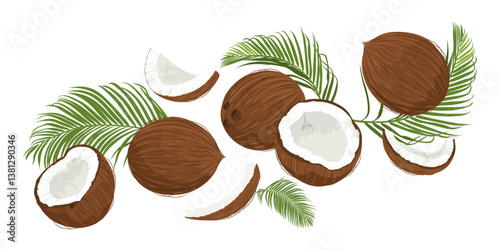 Hand drawn flying coconuts. Banner with falling coconuts and leaves. 
