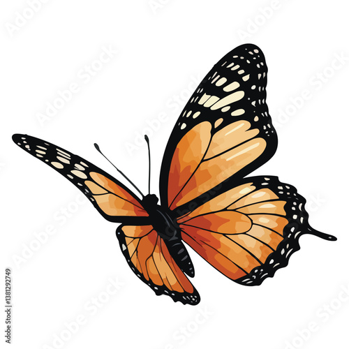Butterfly animated illustration design images