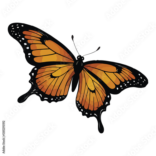 Butterfly animated illustration design images