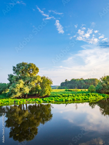 A calm lake with a tree in the foreground