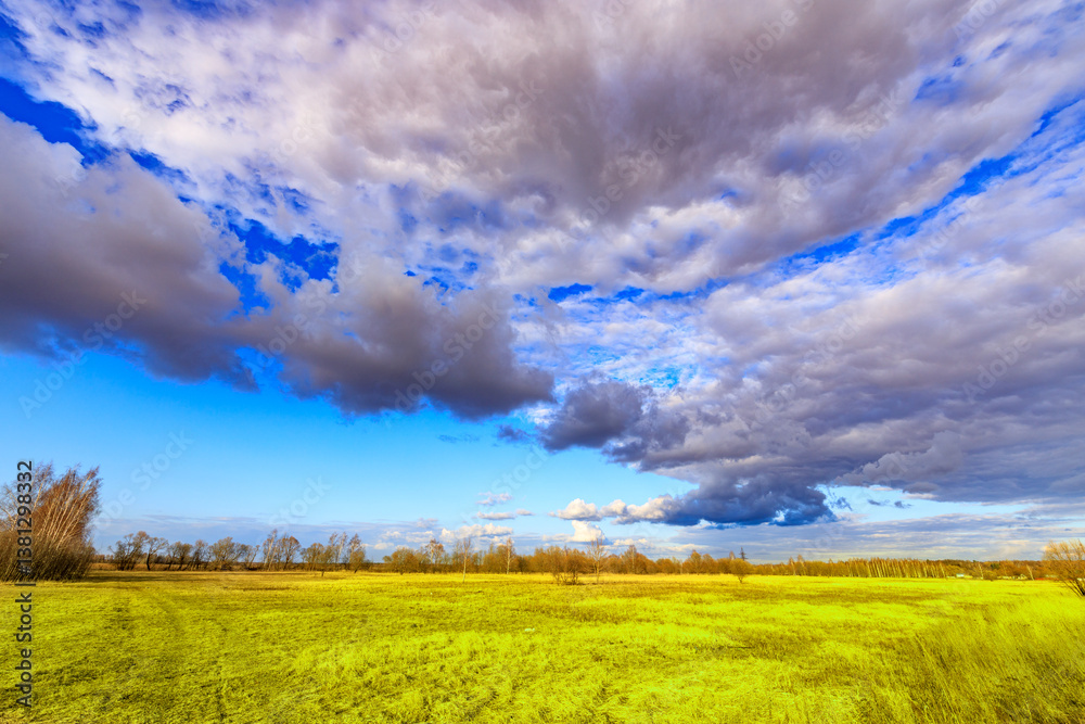 A field of grass with a cloudy sky in the background A field of grass with a cloudy sky in the background