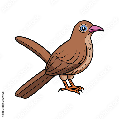  Vivid Curve-billed Thrasher Bird Design