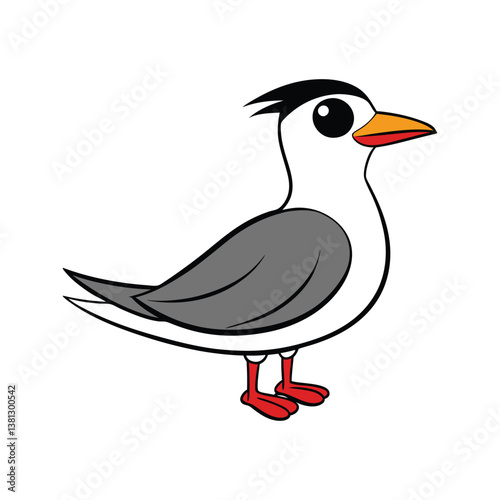  Elegant Damara Tern Bird Vector