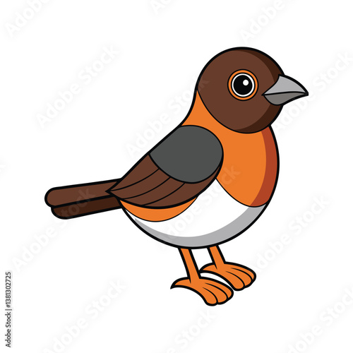  Eastern Towhee Bird Realistic Art