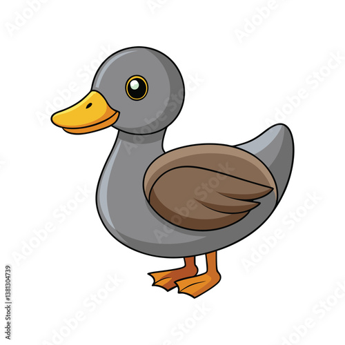  Gadwall Bird Realistic Illustration