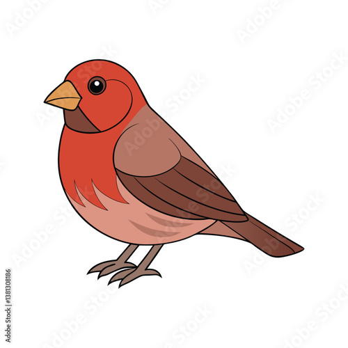  House Finch Bird Realistic Art