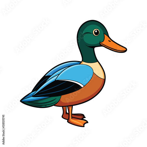  Northern Shoveler Bird Realistic Art