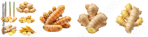 Ginger, turmeric, galangal and their roots.