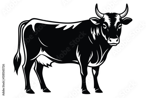 Detailed Black and White Bull Isolated 