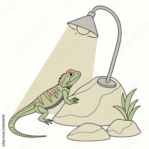 A lizard basking under a heat lamp