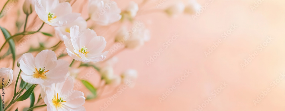 Pastel tulip bouquet on soft peach background with ample space for personal messages. spring background banner, delicate flowers minimalism. empty space for text. flyer Pastel tulip bouquet on soft peach background with ample space for personal messages. spring background banner, delicate flowers minimalism. empty space for text. flyer