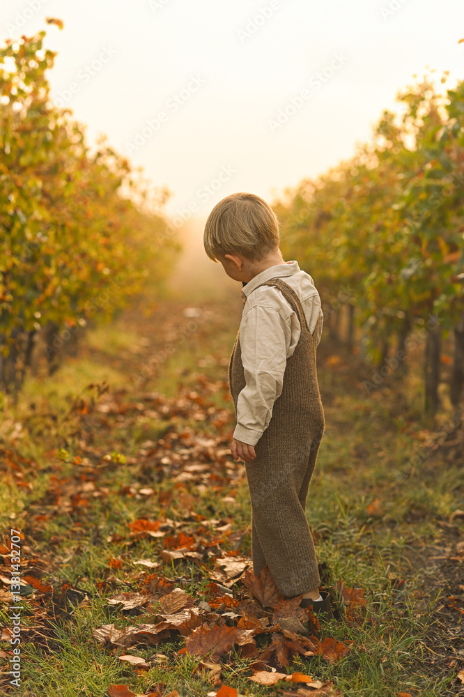 Boy in suspenders walking through a foggy vineyard, surrounded by mist. A dreamy, nostalgic scene capturing the quiet beauty of rural life and childhood innocence in the early morning haze. Boy in suspenders walking through a foggy vineyard, surrounded by mist. A dreamy, nostalgic scene capturing the quiet beauty of rural life and childhood innocence in the early morning haze.