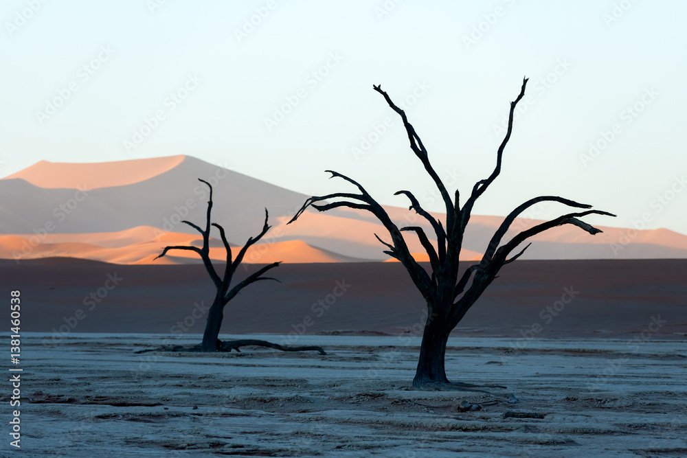 Obraz premium Dried ancient trees standing against the golden hues of sunrise in Deadvlei, Namibia. Stunning desert scenery. Namib-Naukluft National Park, Namibia, Africa. Landscape photography