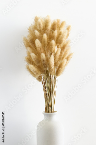 A minimalist and elegant arrangement of dried Lagurus ovatus, commonly known as bunny tail grass, placed in a simple off-white ceramic vase against a clean white background. The soft and fluffy seed 