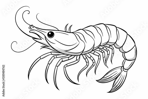 coloring page line art the shrimp black vector