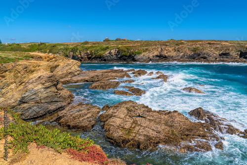 Atlantic ocean rocky coast and colourful plants Porto Covo Sines western Alentejo Portugal 